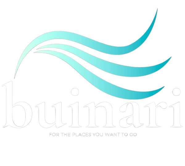 Buinari Summer Store
